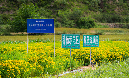 yp街机·电子游戏(中国)最新官网