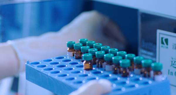 yp街机·电子游戏(中国)最新官网