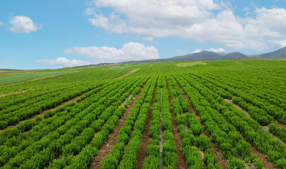 yp街机·电子游戏(中国)最新官网