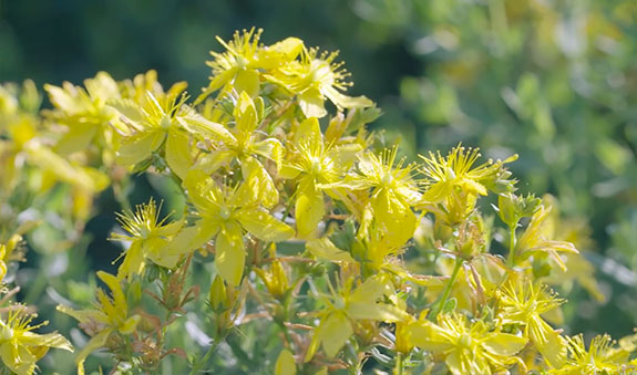 yp街机·电子游戏(中国)最新官网