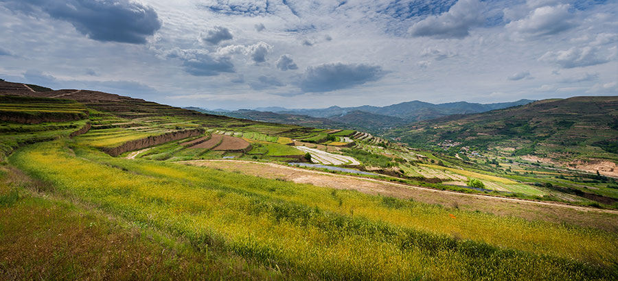 yp街机·电子游戏(中国)最新官网