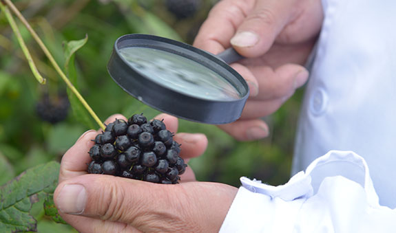 yp街机·电子游戏(中国)最新官网