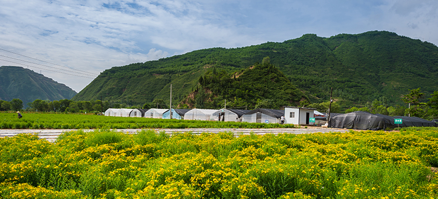 yp街机·电子游戏(中国)最新官网