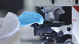 yp街机·电子游戏(中国)最新官网