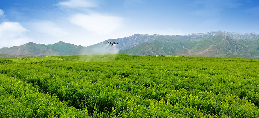 yp街机·电子游戏(中国)最新官网